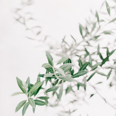 Pinterest Marketing Guide for 2021: Video Pins, Story Pins, and More
